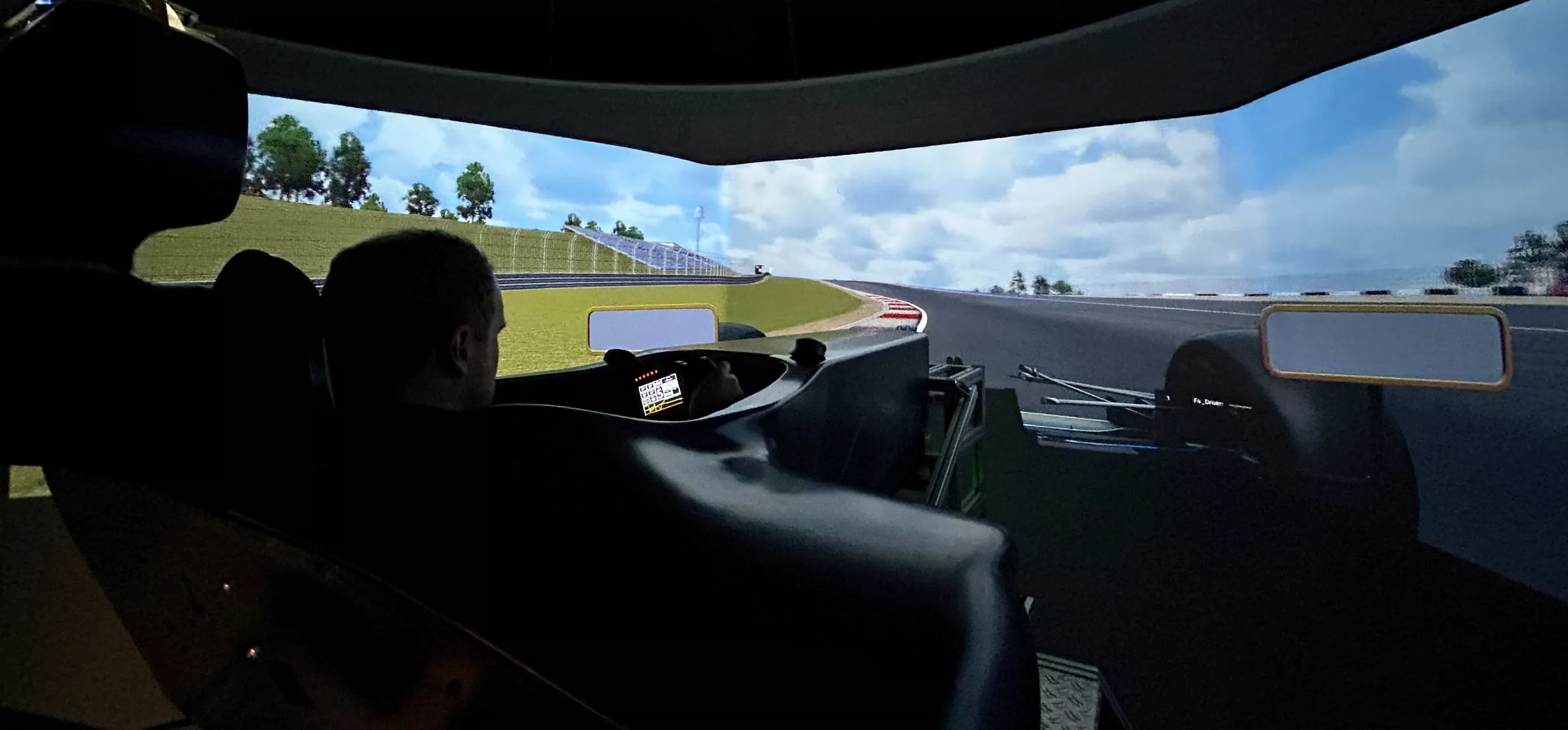F1 sim
